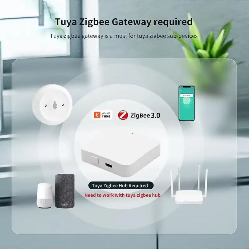 Tuya ZigBee 3.0 Detektor Keboc - Smart Home Google Assistant ulasan dan harga