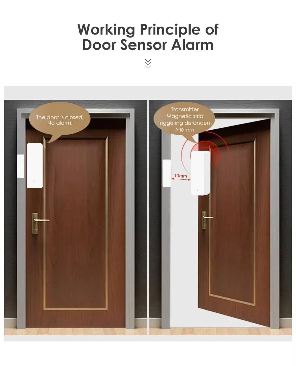 Tuya Zigbee/WiFi Sensor Jendel - Smart Home Google Assistant ulasan dan harga