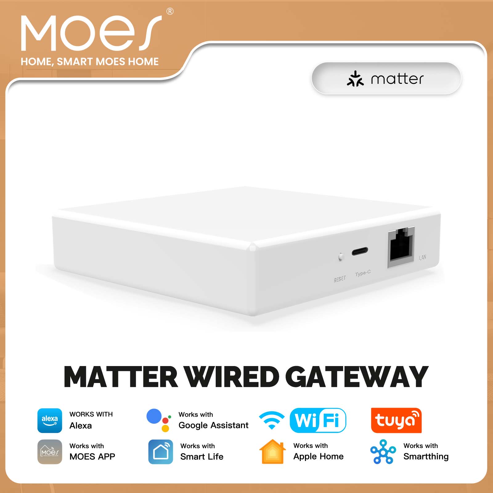 MOES Tuya ZigBee Matter Thread - Smart Home Bridge ulasan dan harga